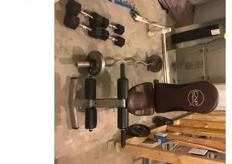 Bench and weight set (great condition)